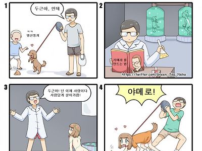 자꾸 똥 먹는 개 ... 교육 시키는 방법