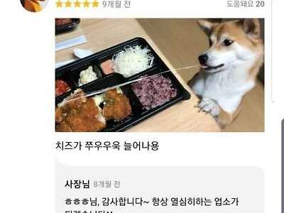 배민 치즈 돈까스 후기 레전드