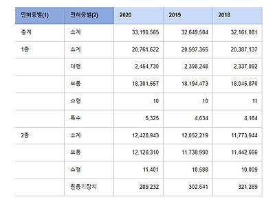 운전면허소지자현황(면허종별)