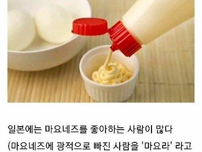 일본의 신기한 문화
