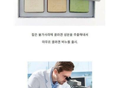 인간이 최상위 포식자인 이유