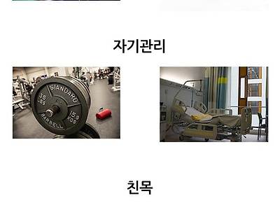 오토바이 커뮤 영구벤짤