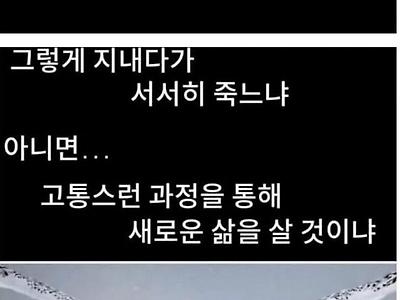 감동) 죽음을 앞둔 올빼미의 선택