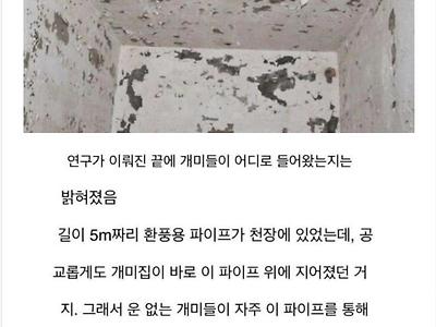 도시 밑의 식인귀들의 소굴