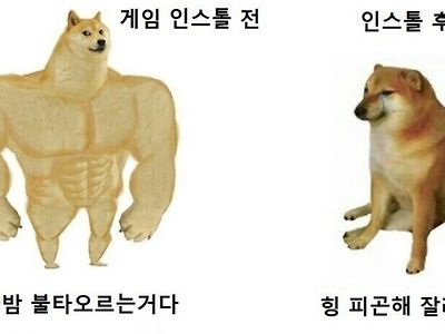 기다리던 게임이 나온 직장인의 모습