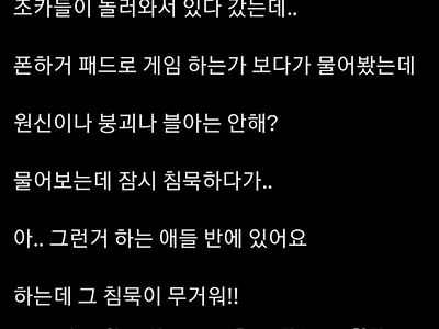 조카한테 원,붕,블는 안해? 라고 물어본 이야기