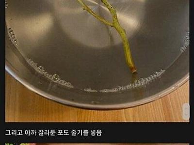 마트 포도를 번식시킬려는 디시인