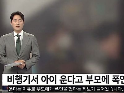 비행기에서 애 운다고 욕하는 남성 ㄷㄷ