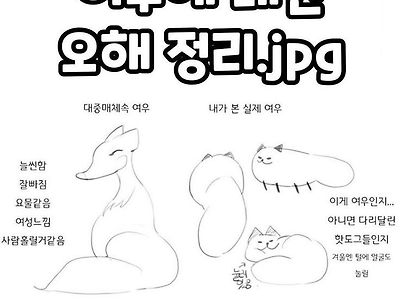 여우에 대한 오해