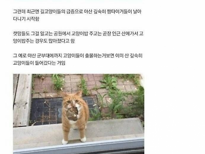 다람쥐가 잘 안보이는 이유