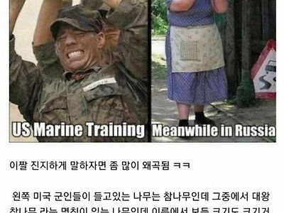 왜곡된 인터넷 짤