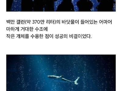 수족관에서 백상아리를 볼 수 없는 이유