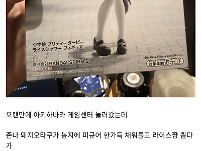 일본에서 피규어 날먹한 말박갤러