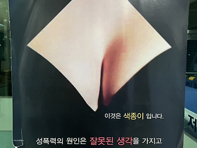 ㅇㅎ)무엇으로 보이십니까?