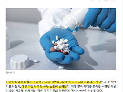 고개 숙인 '치매 특효약', 국내 업계 도전 계속