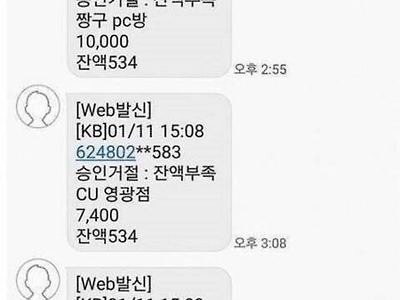 체크카드 도둑 레전드