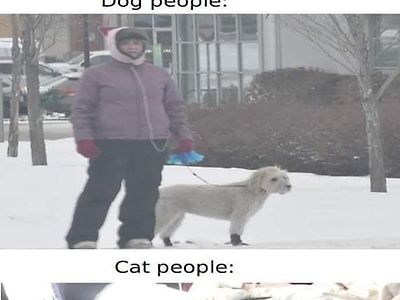견주와 집사의 차이