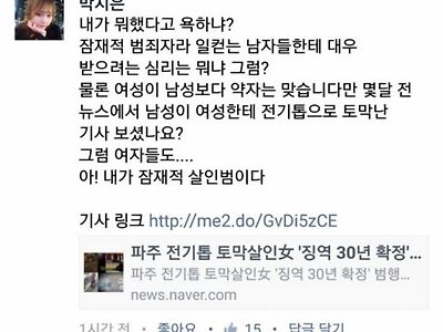 전설의 반페미 지은이 누나..jpg