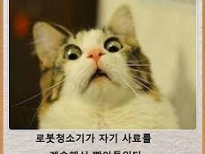 헐.. 그 잡체