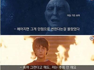 선배의 진심어린 충고를 무시한 새내기의 결말.jpg