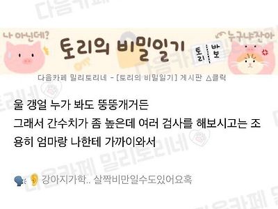 수의사 센세가 커여움