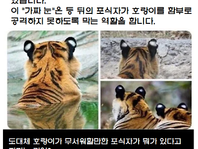 호랑이도 두려워하는 포식자