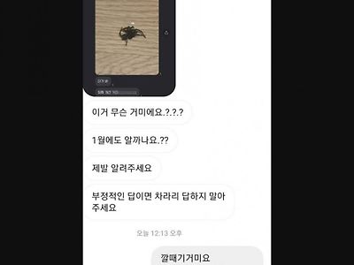 동물 유투버의 공포스러운 답변