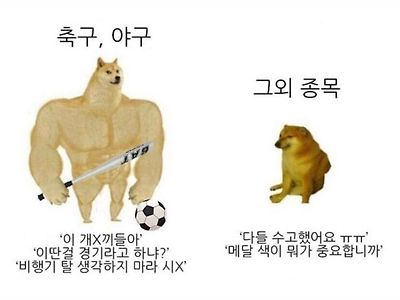 국가대표를 보는 한국인 특징.jpg