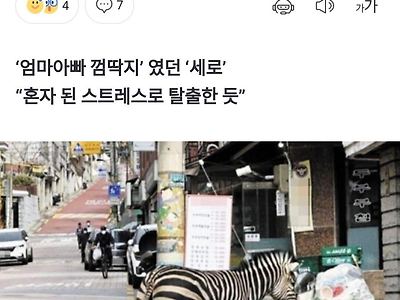 부모 잃고 반항아 된 얼룩말… 여친 붙여준다