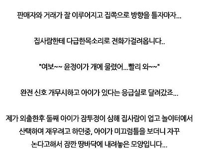 딸을 물은 개를 12층에서 던진 썰