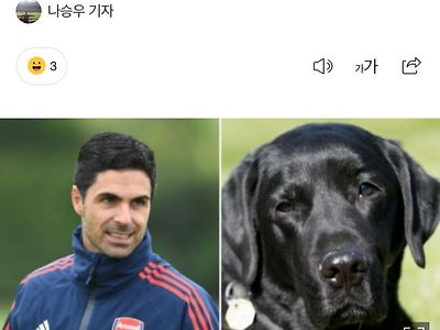 [오피셜] 아스날 첫 영입 확정
