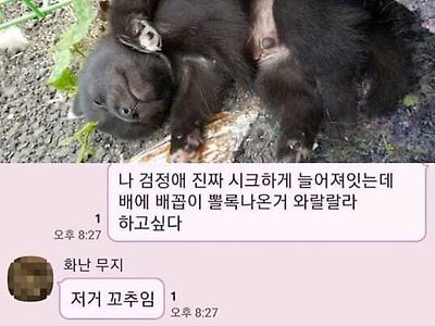 왁싱후기x 와랄랄라O