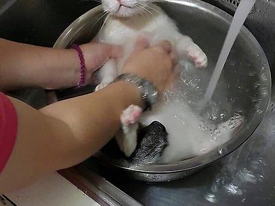 와 여기서 왜 씻기냥?