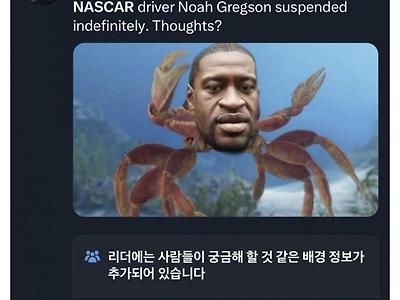머스크 : PC충 때문에 직장에서 부당한 대우 받으면 법적 지원해준다