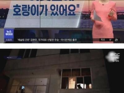 호랑이 그림자같이 보인다고 신고한 이웃 해변가에서 먹을 음식