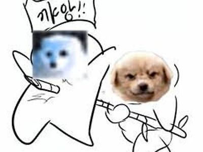 요즘 백곰들이 너무 보임
