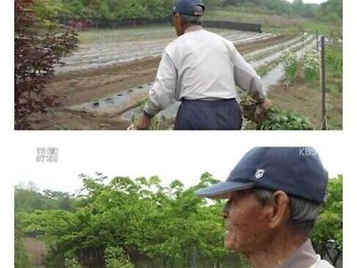 인간극장 99세 할아버지의 하루 일과