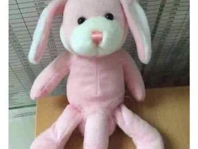 핑자크지