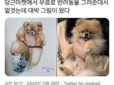 퀄리티가 무료가 아님