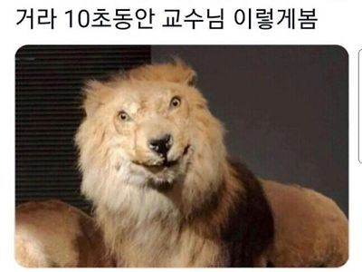 대학교 시험시간 특징