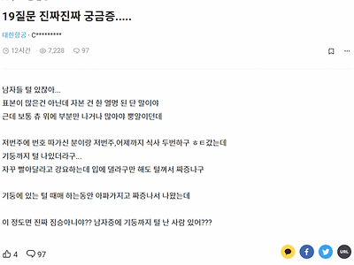 승무원 누나의 ㄲㅊ 궁금증