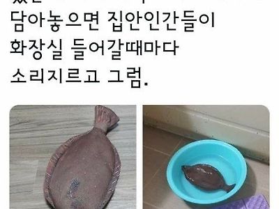 만우절 전용 필통