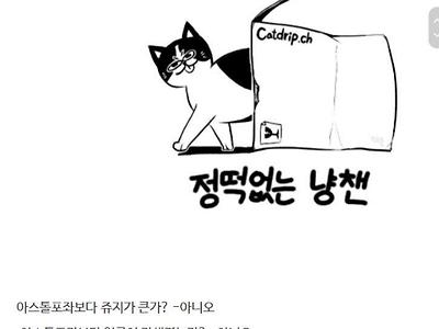 코스프레계의 레전드 아스톨포좌