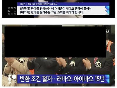 중국에 반환해야 하는 동물