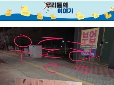 당근에서 캣휠샀는데 차에 안 들어가서.