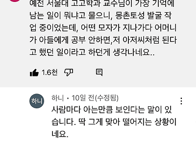 아는만큼 보인다