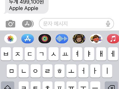 뜬금없이 Apple에서 결제가 됐는데 이게 뭐임?