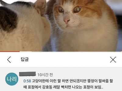 강호동이 레알 빡치면 나오는 표정