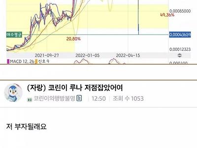 루나 코인 저점 잡은 코린이 ㅋㅋ.jpg