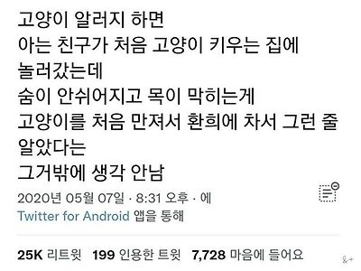 고양이 알러지가 있는 친구